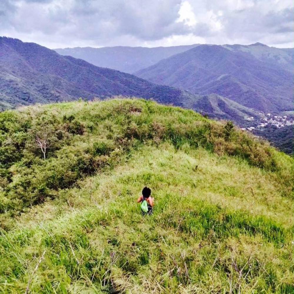 Meet your Posher, Omy